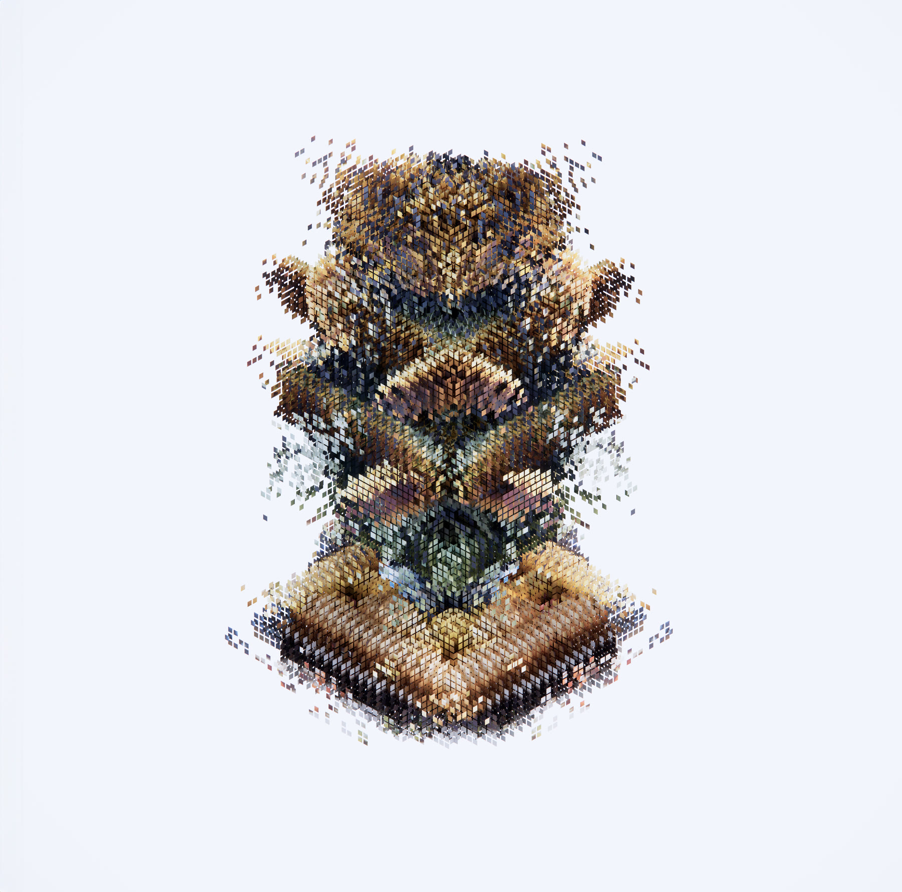 Ecosofía digital — axonometría de la obra, vista 1